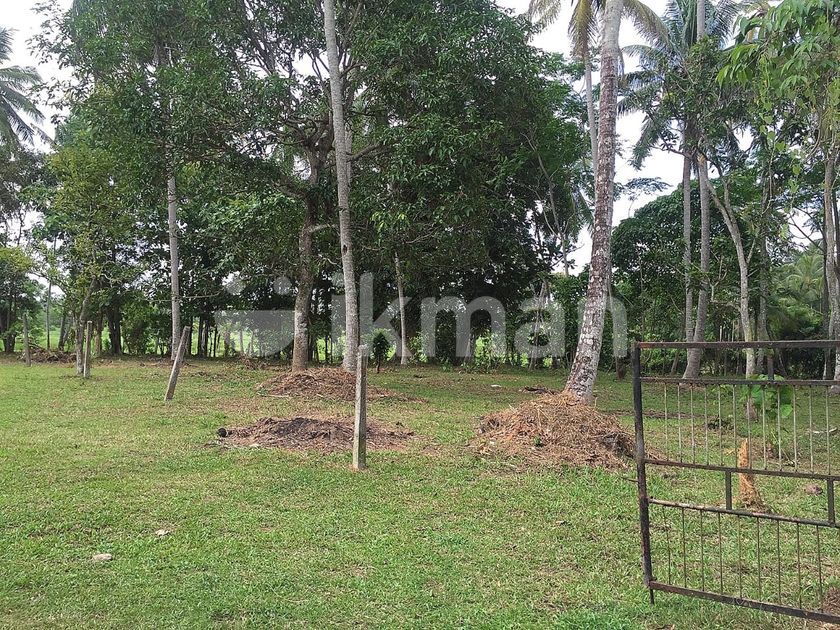 138P Land for Sale in Kalahugoda, Minuwangoda ikman