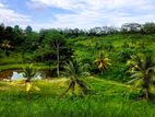 14-Acre Prime Land for Sale near Karapitiya, Galle