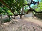 14 P Land for Sale in Kelaniya