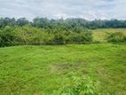14 P Residential Land for Sale in Padukka