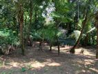 14 Pearch Land For Sale In Mawilmada, Kandy (TPS2384)