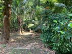 14 Pearch Land For Sale In Mawilmada, Kandy (TPS2384)