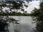 14 Perch Diyawanna Lake Front Land on Nippon Mw- Ethul Kotte for Sale