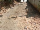 14-Perch Land for Sale – Angunawala Junction, Kandy