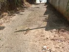 14-Perch Land for Sale – Angunawala Junction, Kandy