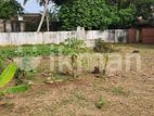 14 Perch Land For Sale In Moratuwa CGGG-A1