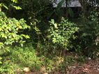 14 Perch Land For Sale In Nawala MRRR-A2