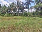 14 Perches Land for Sale at Minuwangoda