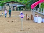 14 Perches Land for Sale in Kalutara- Bandaragama