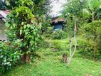 14 Perches Land For Sale in Mabola, Wattala (SSPL-463)