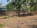 14 Perches of Level Land for Sale in Wattala/Walisara