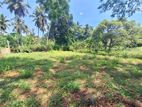 14 Perches of Residential Land for Sale in Bollatha, Ganemulla.