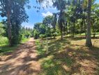 14 Perches of Residential Land for Sale in Bollatha, Ganemulla.