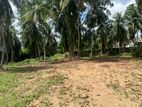 140 Perch Land for Lease in Malabe
