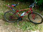 DSI Bicycle