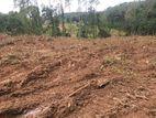 140P Bare Land in Boralugoda, Thelhena, Kosgama (SL 14419)