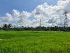 14.2 Perch Paddy Field View Land on Temple Road, Maharagama (SL 14342)