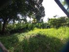 14.2 Perch Road Facing Land for Sale in Jayasrigama Rd, Ragama (C7-6076)