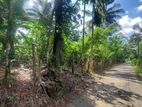 145 Perches Highly Commercial Valued Land for Sale in Kaluaggala