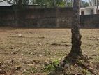 14.5 Perches Land for Sale in Kotte