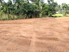 146 Perches Land For Sale in Homagama