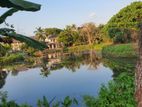 14.7 Perches of Waterfront Land for Sale in Pitakotte