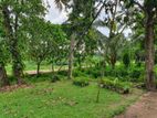 14.71P Land for Sale in Evarihena, Hokandara (SL 14225)