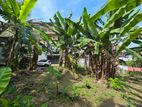 14.80P High Residential Bare Land For Sale Thalawathugoda