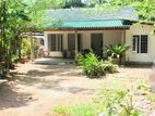 14.85 Land with House for Sale Seeduwa, Kuswala