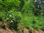 148P Land for Sale in Kandy Gelioya ( Kalugamuwa Road)