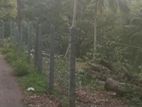 149.8 Perch Land for Sale in Pilimathalawa