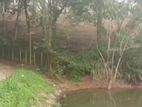149.8 Perch Land for Sale in Pilimathalawa