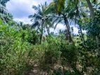 149P Land for Sale Kurunegala, Maspotha, Welagane