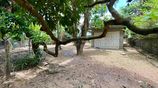 14P Bare Land for Sale in Kelaniya