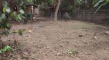 14P Bare Land for Sale in Kelaniya - Prime Location