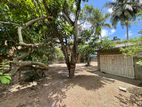 14P Bare Land for Sale in Kelaniya - Prime Location