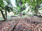 14P Bare Land For Sale In Nawala