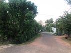 14P Residential Land in Big City Katunayake for Sale