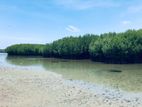1.5 Acres Lagoon front land for sale Kalpitiya