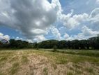1.5 Acres Land for Sale - Habarakada Ranala