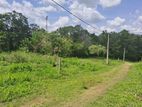 1.5 Acres Land For Sale In Narammala - MeWewa