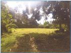 15 Acres Land for Sale in Padukka