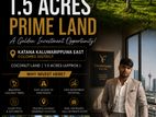 1.5 Acres of Prime Land in Katana – A Rare Investment Opportunity
