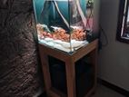 1.5 Feet Cube Fish Tank Full Set