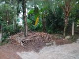 Land for Sale in Kalutara