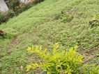 15-Perch Bare Land for Sale – Guruthalawa