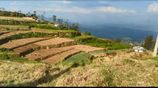 15 Perch Land for Sale in Ambewala (Clear Deeds)