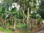 15 Perch land for sale in Gampaha, Yakkala