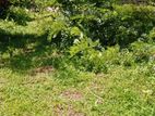 15 Perch Land for Sale in Kandawala, Katana