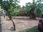 15 Perch Land for Sale in Kuruppumulla, Panadura